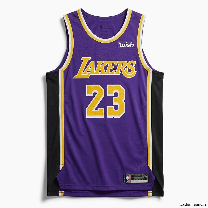LBJ Lakers retro purple jersey