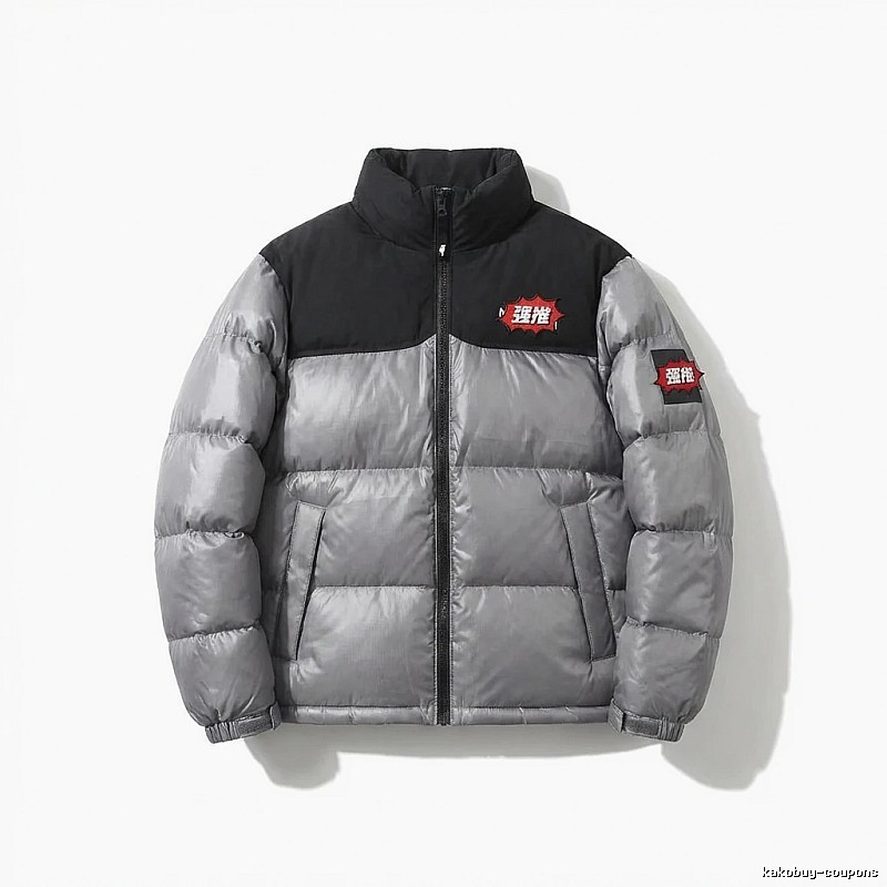 The North Face Silver and Black Color - Blocking Down Jacket
